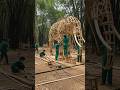 google how to make beautiful elephant on bamboo in obt chiro,