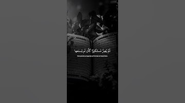 اكتب شيء تؤجر عليه 🩶😴 / القارئ ياسر الدوسري | قران كريم