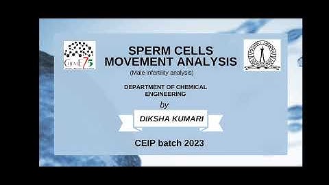 CEIP (CHEMICAL ENGINEERING INTERNSHIP PROGRAM) 2023 | SPERM CELLS MOVEMENT ANALYSIS