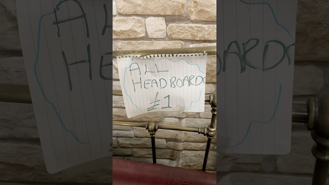 Bargain of the Day 👍 