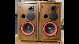 Pt 2. "Audiophile Vs Audio Smile!" Cerwin Vega D5's Yeah!!