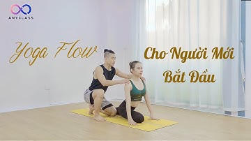 Yoga Flow - Hướng Dẫn Các Động Tác Cơ Bản Cho Người Mới Bắt Đầu | Khóa Học Yoga Flow Tại Anyclass