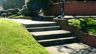 Ollie 2 flat 2.