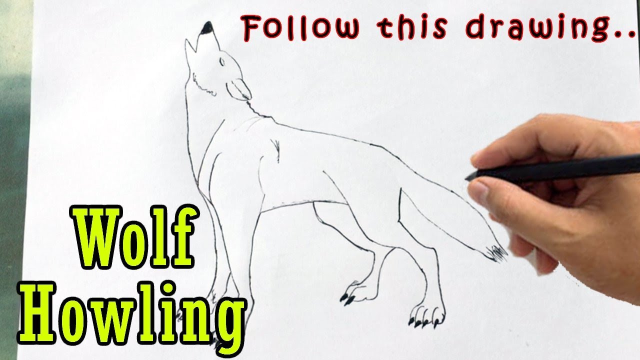 Wolf Howl Line Art PNG Transparent Images Free Download | Vector Files |  Pngtree