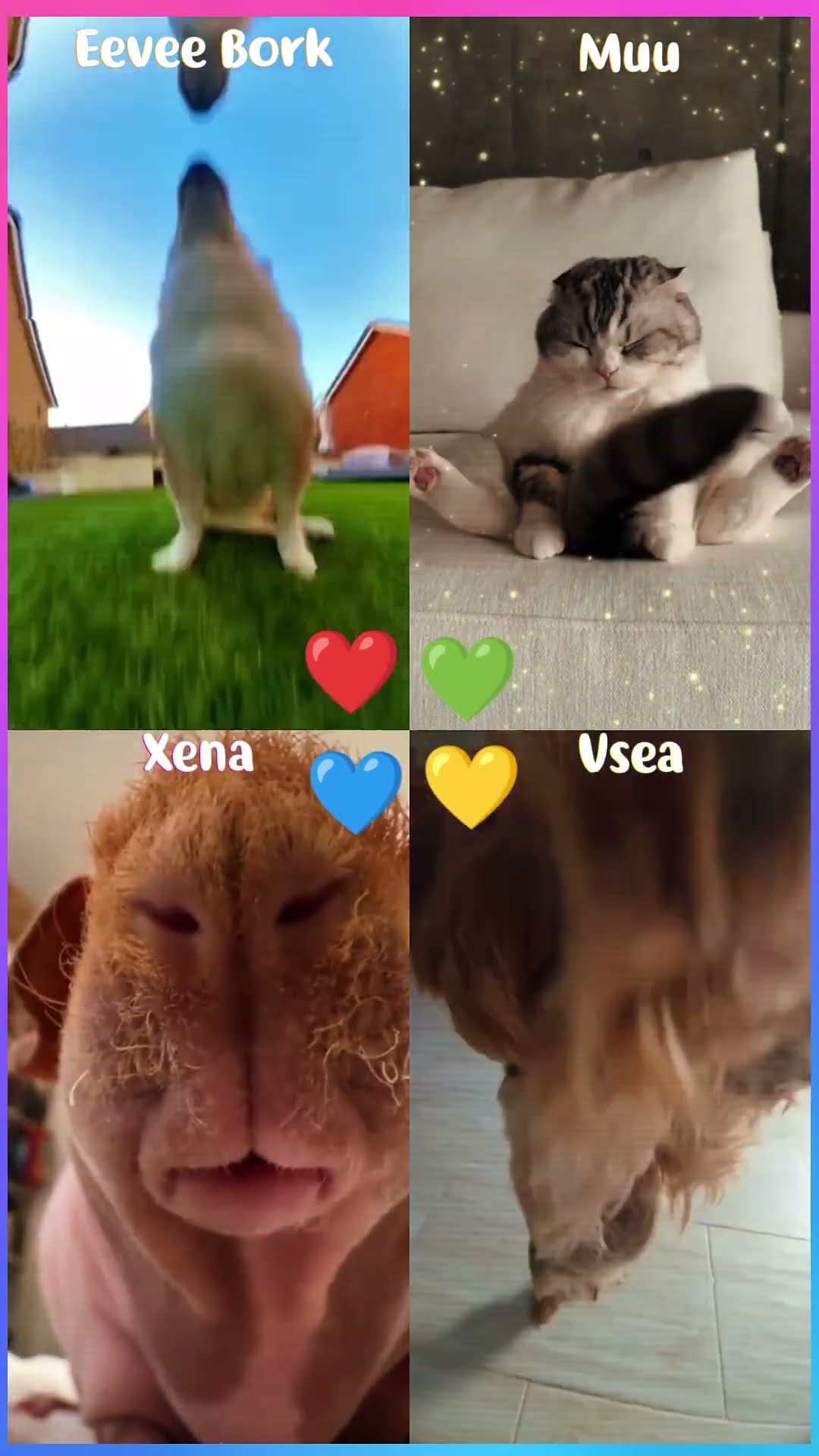 Eevee Bork x Muu x Xena x Vsea #shorts #dance #tiktok