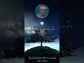 الشيخ السيد سعيد الأنعام 84 و ن وح ا ه د ي ن ا م ن ق ب ل شارك تؤجر العمده