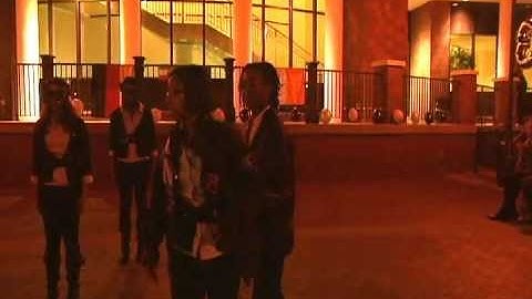 Alpha Kappa Chapter of Theta Nu Xi Multicultural Sorority, Inc. FA 11 Emergence Part Two