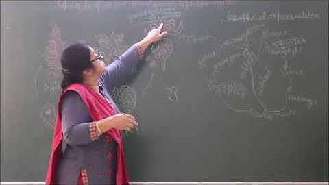 Bio-XI-3-13 Homosporus life cycle of a pteridophyte,  Pradeep Kshetrapal channel