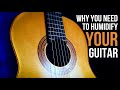 GUITAR TIP: Why you NEED to humidify your guitar