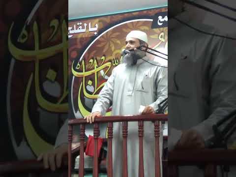 خطب ودروس دينيه حكم زياره السيد البدوي والحسين والاضرحه لفضيله الشيخ أحمد عبدالعال  خطب ودروس دينيه حكم زياره السيد البدوي والحسين والاضرحه لفضيله الشيخ أحمد عبدالعال