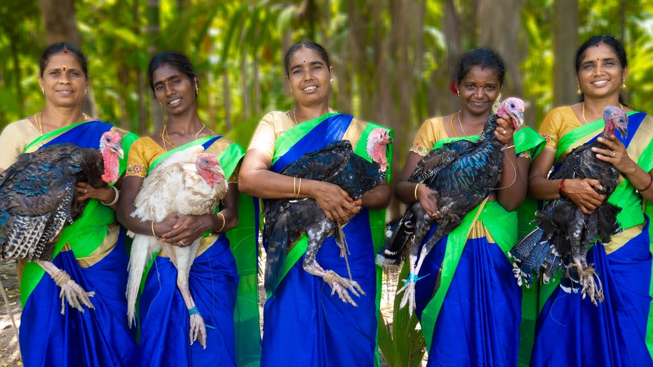 HUNTING GIANT TURKEY AND COOKING | Indian Style Turkey Fry  | Traditional Vaan Kozhi Recipe Cooking