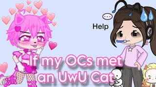 If my OCs met an UwU Cat (Part 1)