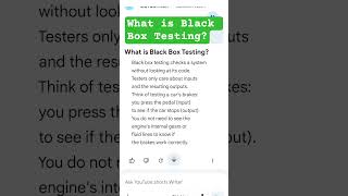 What is Black Box Testing?