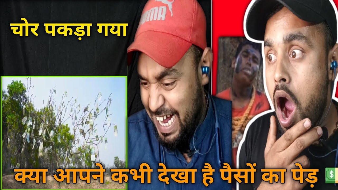 New Comedy Video 2023 People Doing Funny Things Episode 194 | Funny Day ...