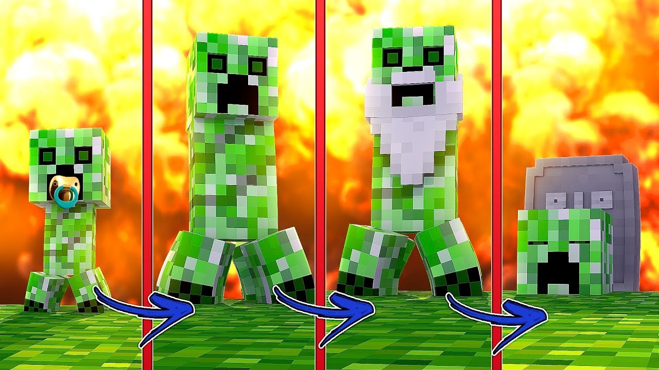 Minecraft The Life Cycle Of A Creeper From Birth To Death Donut - how do you get pregnant on roblox donut the dog roblox