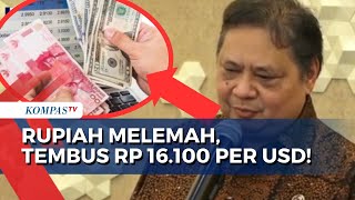 Nilai Tukar Rupiah terhadap Dolar Melemah, Tembus Rp 16.100 Per USD!