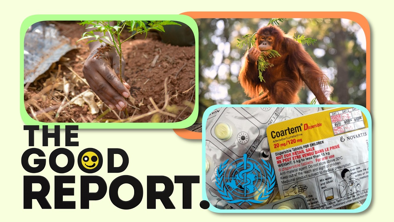 The Good Report | 3 Positive Stories You Probably Missed