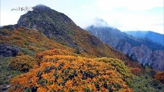 20151129【701】MIT台灣誌 南湖大山 中央尖行 南湖七月雪 回憶很好痛