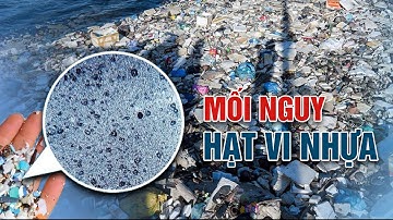 Mối nguy từ hạt vi nhựa | VTC14