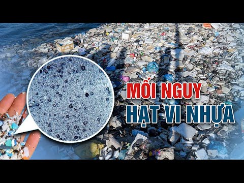 Video Mối nguy từ hạt vi nhựa | VTC14 - youtube