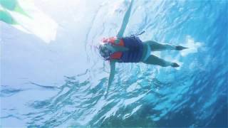 подводная съемка  в красном море. Underwater filming in the red sea