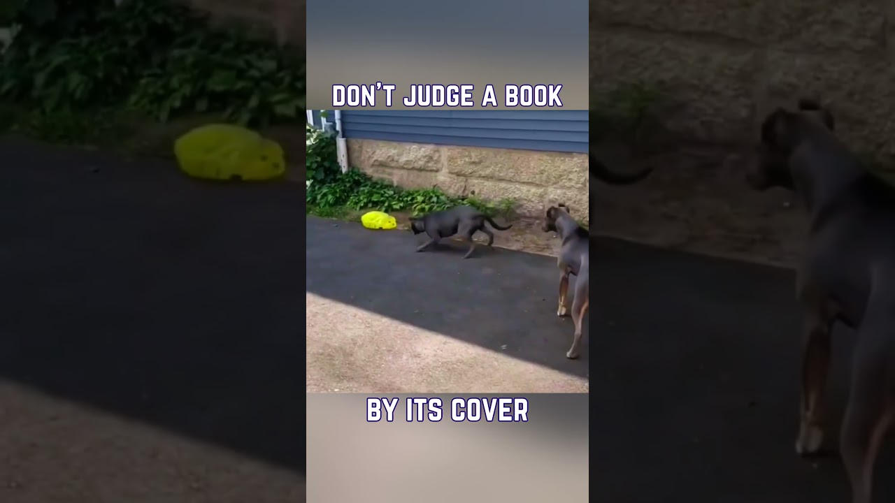 DON'T JUDGE A BOOK BY ITS COVER
