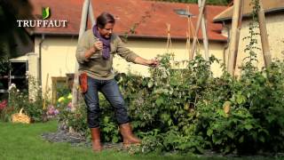 Calendrier du jardinier octobre: que faire au jardin ou sur la terrasse - Truffaut