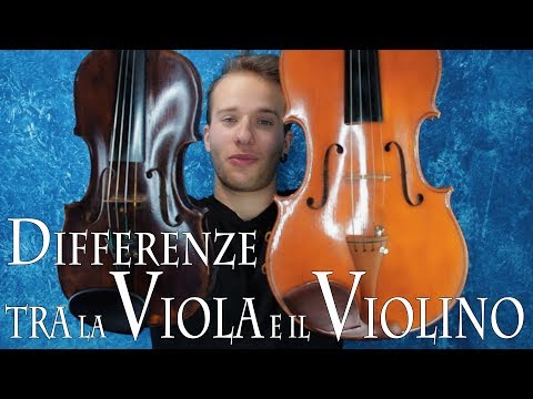 Video: Il viola e il viola sono uguali?