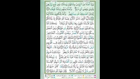 سورة الأحزاب الآيات 7-8 تلاوة الشيخ أيمن سويد #قليل_دائم_خير