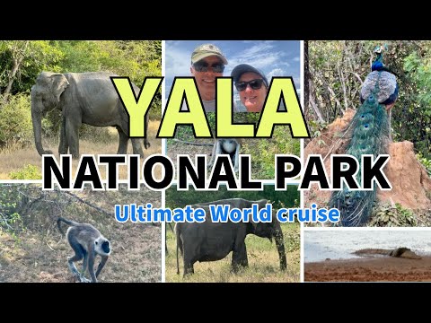 Thrilling Wildlife Encounters | Renee Shull Ulltimate World Cruise Video Thumbnail