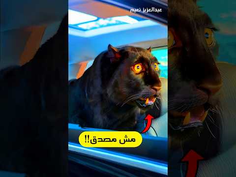 اغرب ردود افعال الحيوانات بعد رجوعها للطبيعه