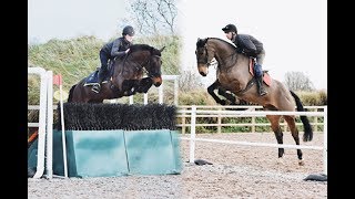 Victor and Primrose | All weather XC Training