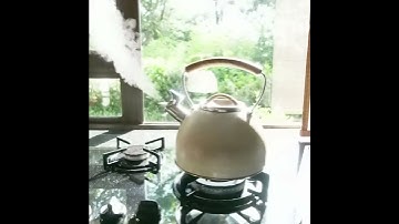 Whistling kettle / teapot - Shorts