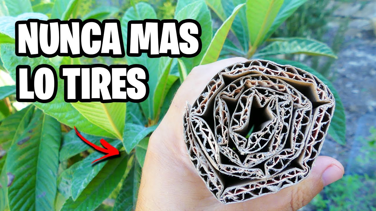 7 Usos INCREÍBLES del CARTÓN para HUERTO y JARDÍN | La Huerta de Ivan