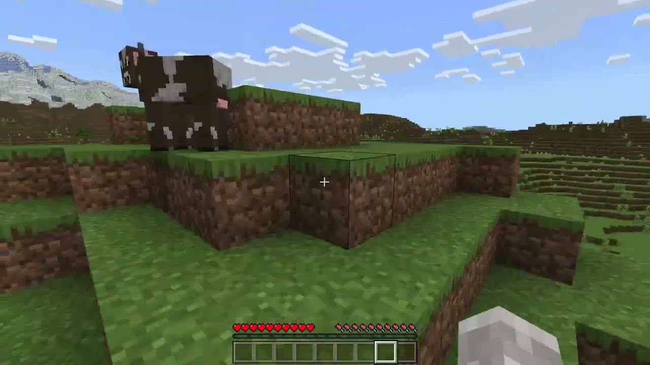 Ich siele Minecraft und bin nach c.a. 10 Minuten Tod