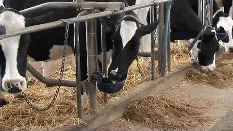DeLaval Dairy Management DelPro™ | DeLaval