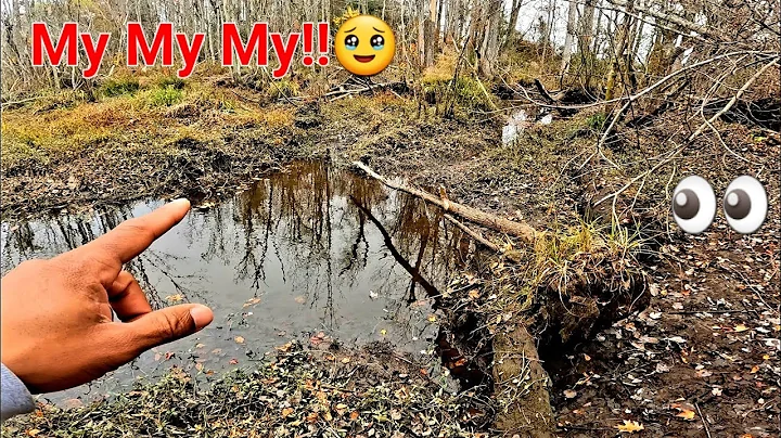 Mother BEAVER DAM Number Two 4 Days Later!! || SEA...