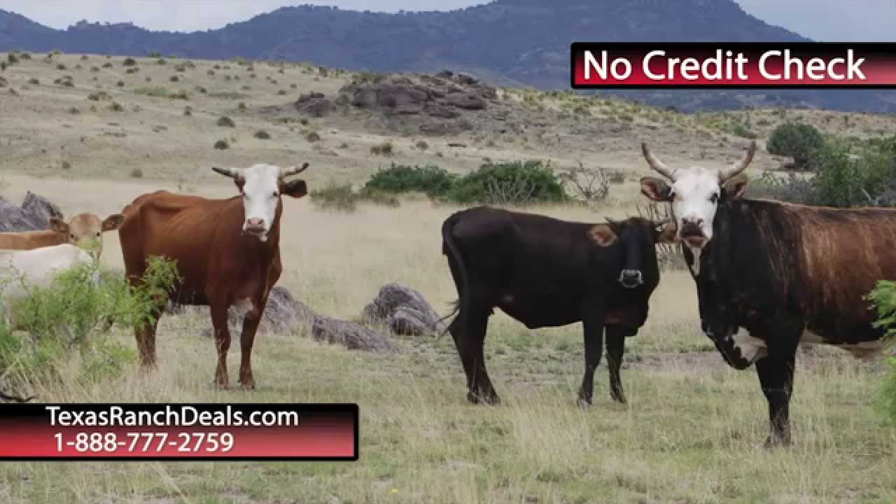 Farm Land for sale Texas YouTube