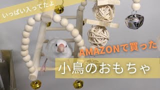 Amazonで買ったバードトイを紹介するよ《鳥のおもちゃ》