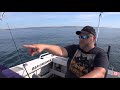 Hunting surface tuna and kingfish  youfishtv