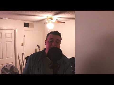 NORMANDIE - WHITE FLAG | VOCAL COVER