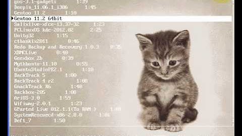 GRUB4DOS Multi-Boot anywhere !