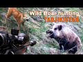 Wild Boar Hunting in Tadjikistan / 2021