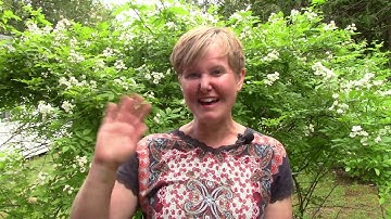 Oral Language Practice: Week 5 Day 3: Review Between & Among (Learn English)