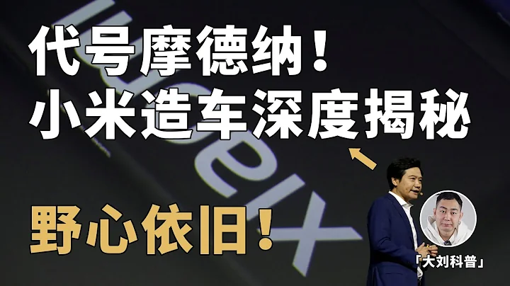 代号摩德纳！小米造车深度揭秘，雷军的终极悖论？ - 天天要闻