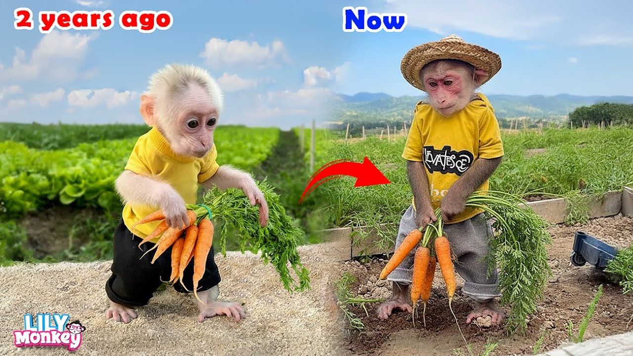 Then and Now: How Lily and her dad's life changed | Lily's story