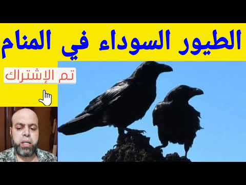 تفسير حلم الطيور السوداء في المنام لابن سيرين 