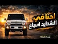 We Are Lions in Hard Times TikTok Trending Songs 2026 Most Requested  mp3