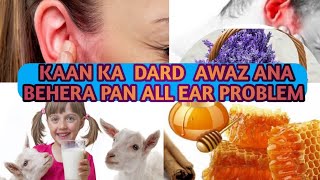 kaan kan dard ka ilaj ear pain ka ilaj   kan ka zakham kan me awaz Ana behra pan کان کا علاج #kaan