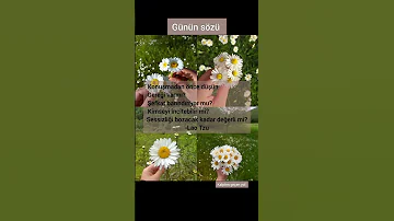 Duygusalsözler öneçıkar Keşfetbeniöneçıkar Keşfetteyiz Keşfetedüş Askbuyusu Sevgi Aşk Lo 
